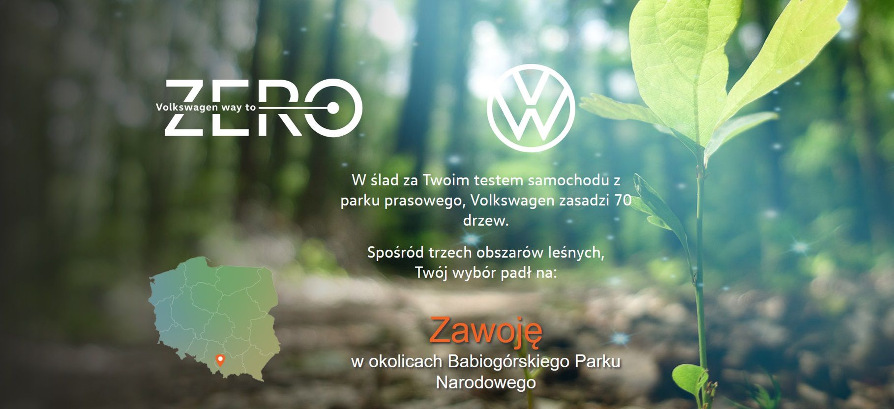I już. 70 drzew zostanie zasadzonych. A to tylko jeden test, których w tym roku będzie wiele.