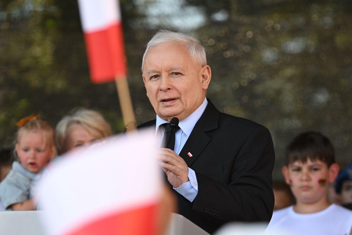 PiS w koalicji z Konfederacją? Polacy wydali werdykt