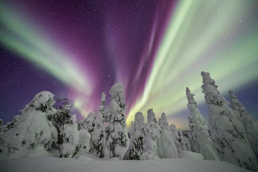 Najpiękniejsze zdjęcia zórz polarnych 2021 roku okiem Capture The Atlas 11