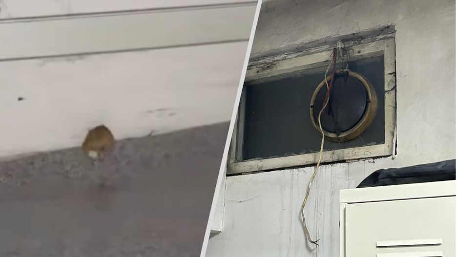 Warunki w szatni i pomieszczeniu socjalnym w KP V w Bytomiu. Fot. Sierżant Bagieta