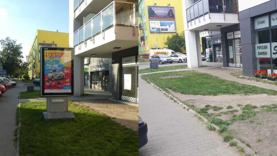 Zarząd Dróg Miejskich