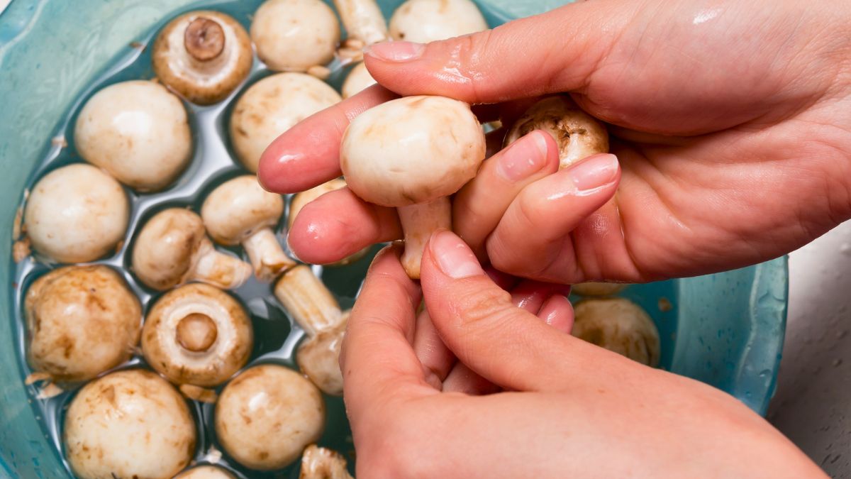 Teraz wiem, czy pieczarki powinno się myć 