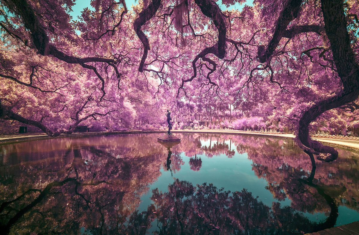 Zobacz wczesne zgłoszenia do Sony World Photography Awards 2019 17