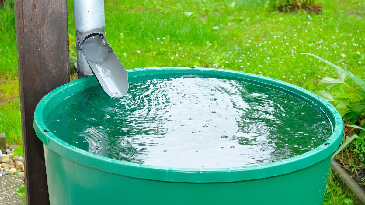 Zbieranie deszczówki przynosi wiele korzyści