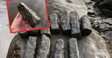 Rzymska fabryka w północnej Anglii. Niezwykłe odkrycie archeologów