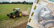 KOWR wydzierżawi 128-ha pole w jednym kawałku. Gleba jest doskonała