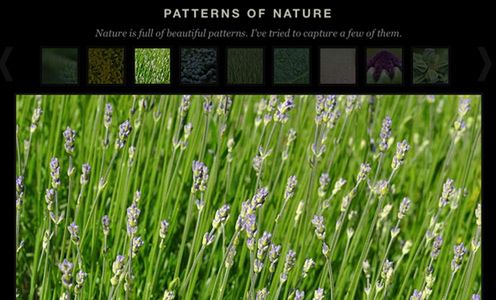 Fotoblogia: 20 darmowych galerii do fotograficznego portfolio 8