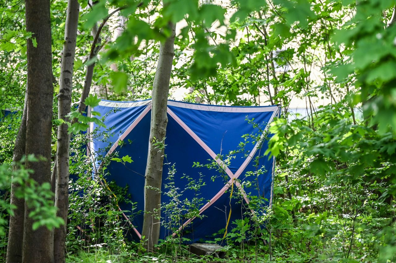Tragiczne odkrycie na Śląsku. Ciało kobiety znalezione w rejonie leśnym