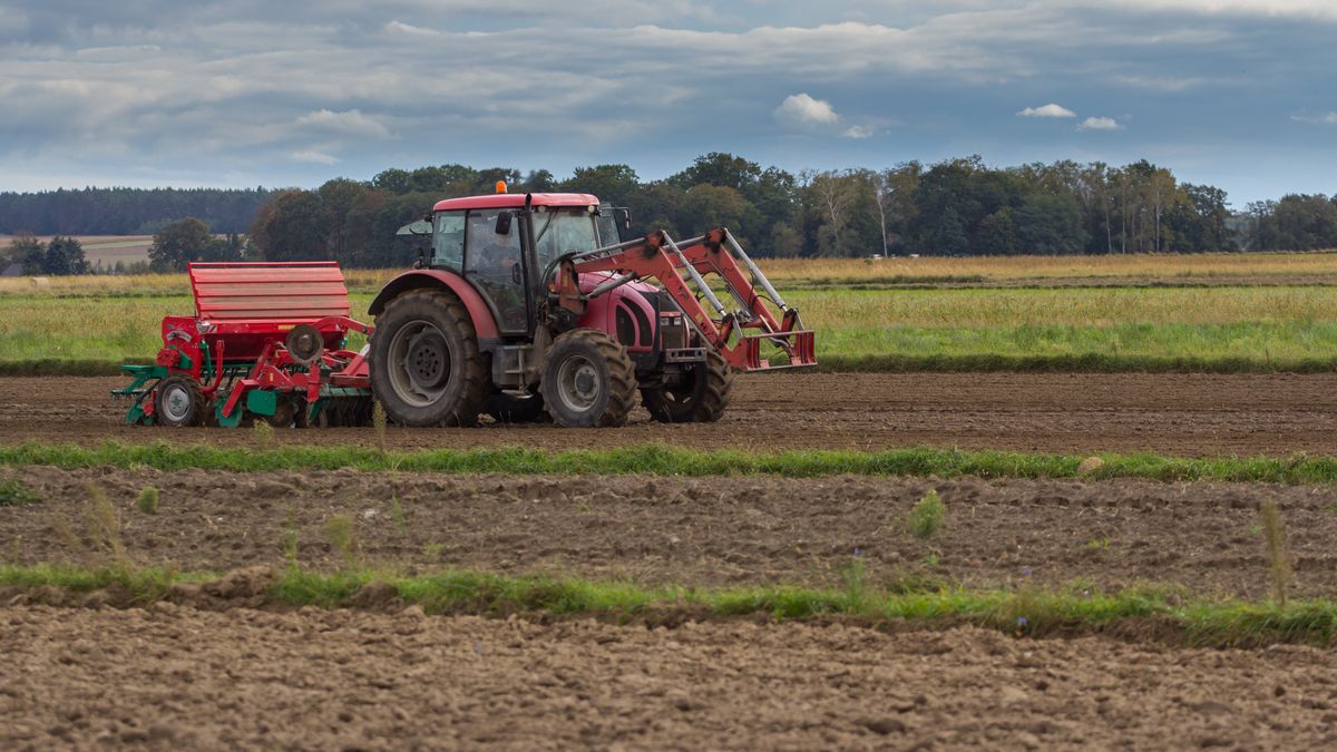 traktor, pole, rolnictwo, krajobraz, rolnik, maszyny, wiejski, gleba, lato, natura, zielony, niebo, plon, agronomia, teren, widok, nasiona, sezon, ekologia, przygotowania, kraj, pejzaż, ekologiczny, siewnik