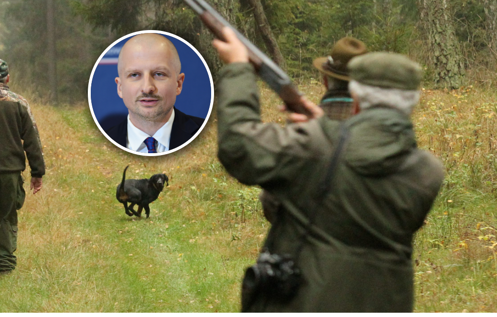 "Sytuacja patologiczna". Rząd chce zmian na polowaniach
