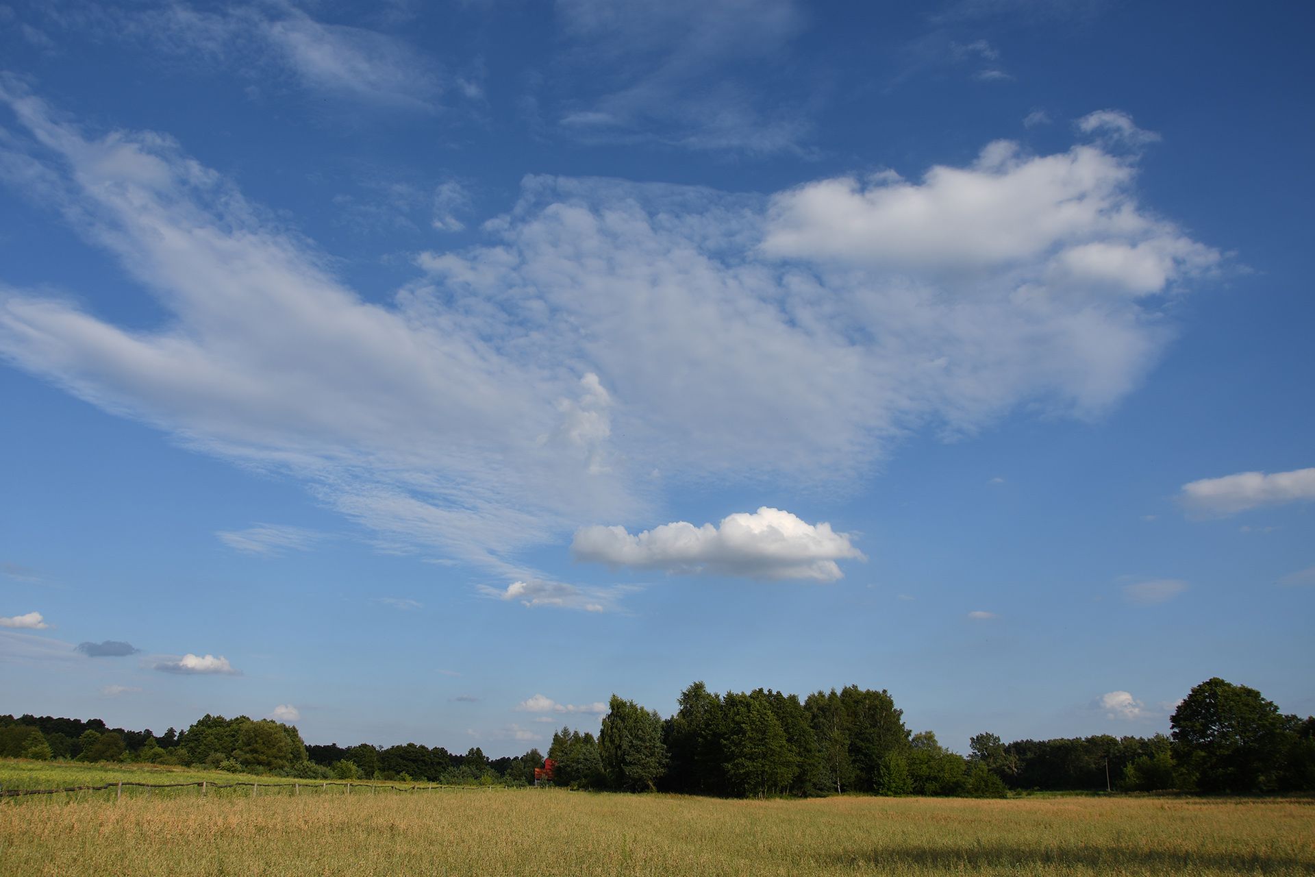 Nikon D7500 - przepustka do poważnej fotografii czy drogi gadżet? [test] 100