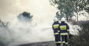 Brzeźnica: Spłonęło 5 hektarów lasu. Nad powiat złotowski przyleciały dromadery
