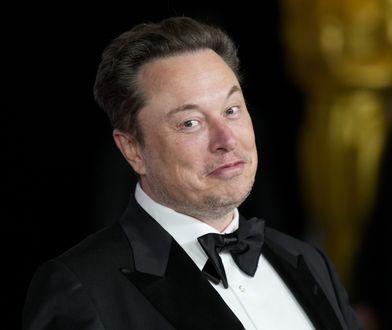 Polityczne spory w Niemczech. Elon Musk popiera skrajnie prawicową partię AfD