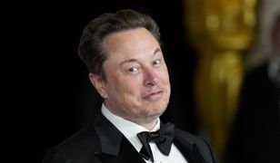 Polityczne spory w Niemczech. Elon Musk popiera skrajnie prawicową partię AfD