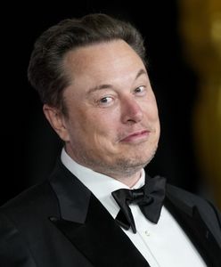 Polityczne spory w Niemczech. Elon Musk popiera skrajnie prawicową partię AfD