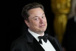 Polityczne spory w Niemczech. Elon Musk popiera skrajnie prawicową partię AfD