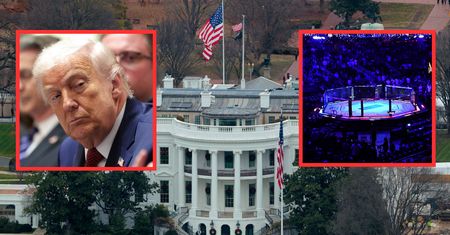 Oktagon UFC w Białym Domu. Internauci przejechali się po Trumpie