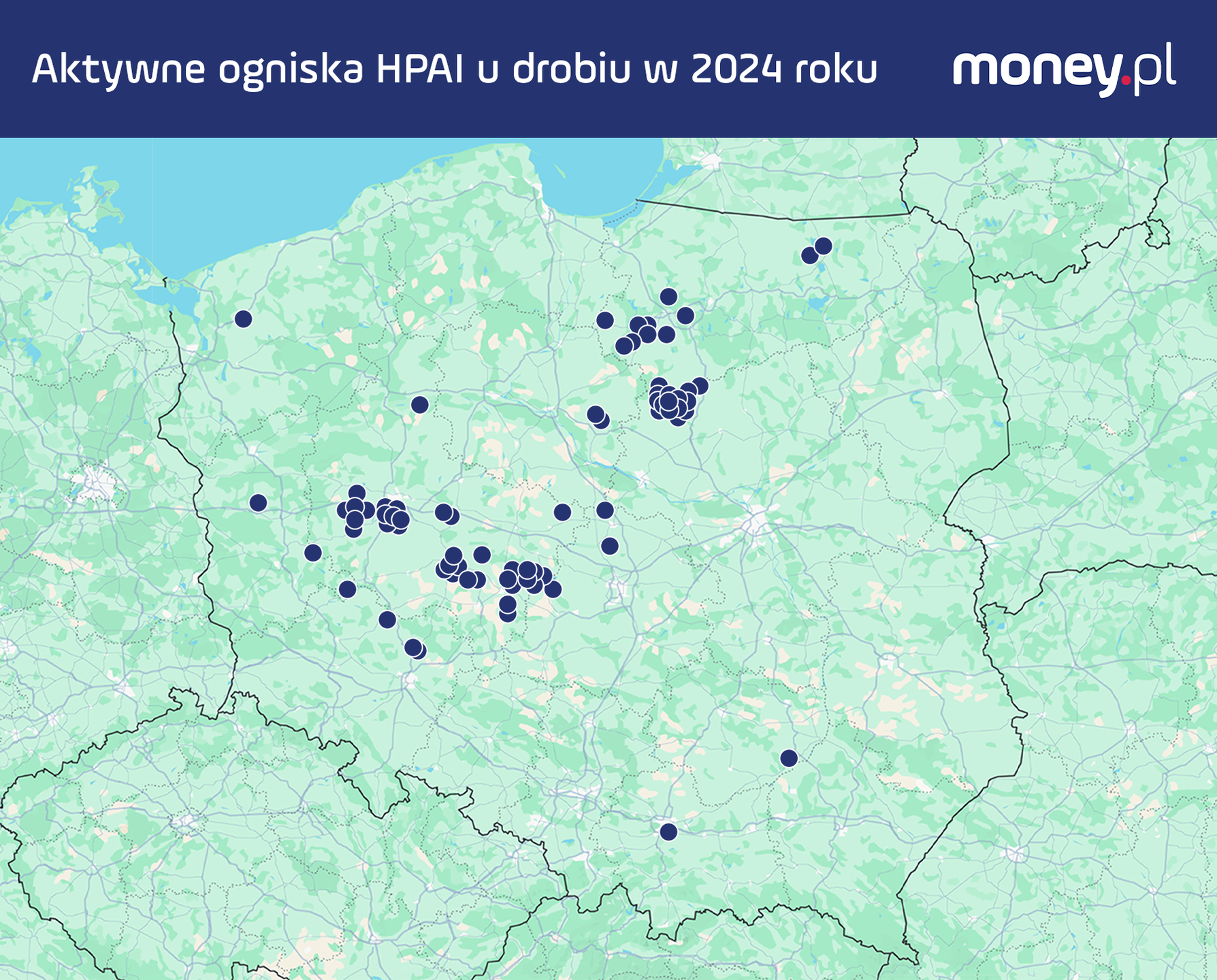 Ogniska ptasiej grypy 