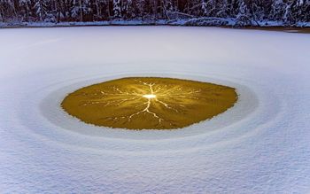 Tajemniczy krąg na lodzie. Leśnicy pokazali zdjęcie