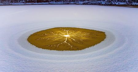 Tajemniczy krąg na lodzie. Leśnicy pokazali zdjęcie