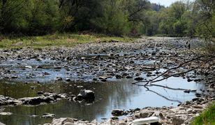 Pogoda i susza w Polsce. Ciepło z nami pozostanie. Deszcz na horyzoncie