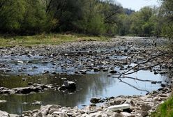 Pogoda i susza w Polsce. Ciepło z nami pozostanie. Deszcz na horyzoncie