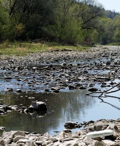 Pogoda i susza w Polsce. Ciepło z nami pozostanie. Deszcz na horyzoncie