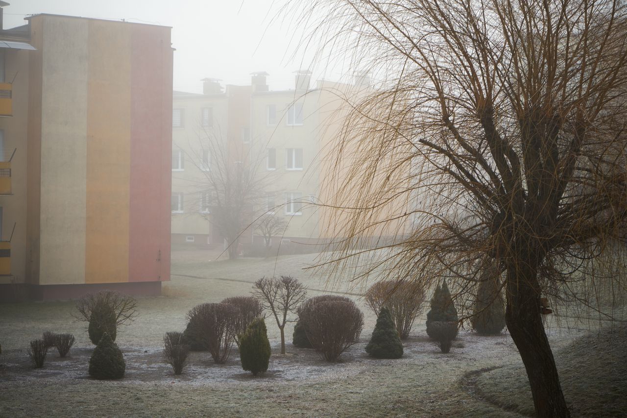 IMGW ostrzega. Gęste mgły w Wielkopolsce