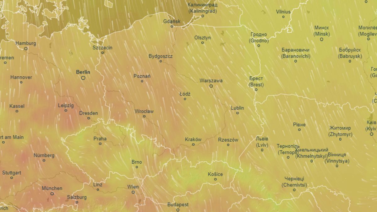 Jaka pogoda czeka nas w niedzielę? 