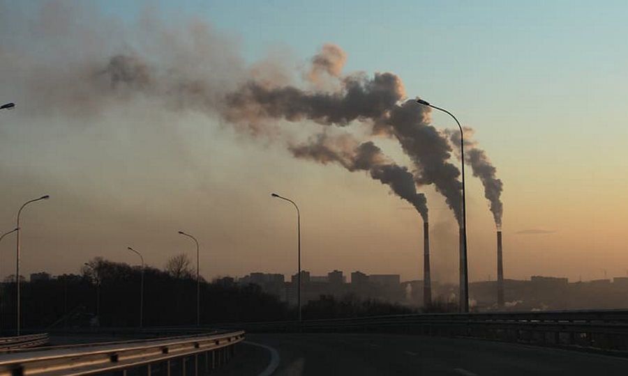 Zanieczyszczenia wpływają na nasz układ odpornościowy.