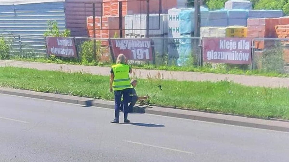 Internauci byli zachwyceni zachowaniem dwojga ludzi: "budujące", "jesteście wspaniali", "szacuneczek" 