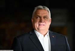 Rząd Węgier ogłasza kolejne "korespondencyjne referendum" [OPINIA]