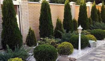 Samowolka przed płotem. Kary od 100 zł do 1000 zł za dobę