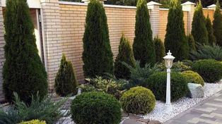 Samowolka za płotem. Kary od 100 zł do 1000 zł za dobę