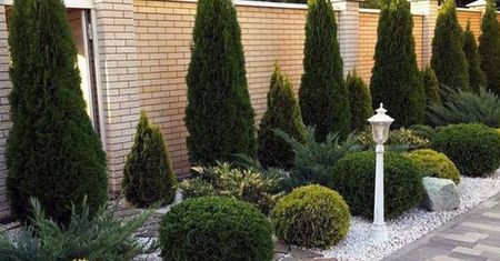 Samowolka za płotem. Kary od 100 zł do 1000 zł za dobę