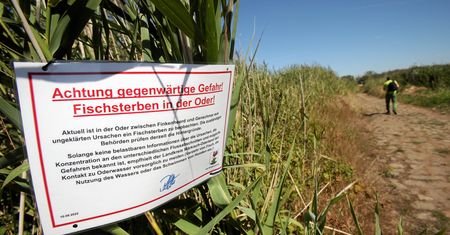 Niemcy już wiedzą. Urzędnik ujawnił pierwsze wyniki badań
