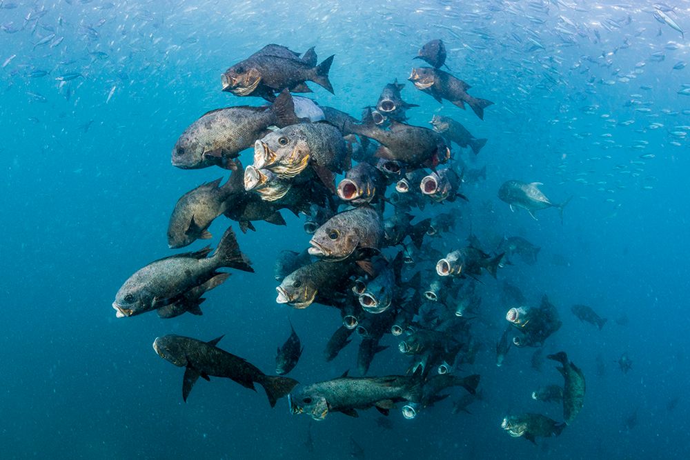 Sony World Photography Awards 2017 – pozostał już tylko miesiąc na zgłaszanie prac 10
