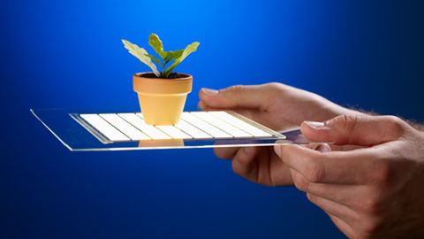 OLED w aucie? To możliwe... 1