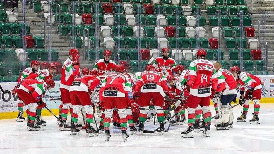 ECB Zagłębie Sosnowiec (fot. Natalia Woźniak)