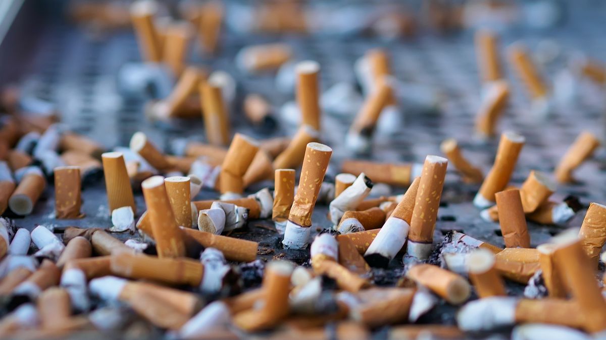 Czy Polska przyjmie nowe przepisy?