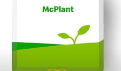 McDonald's testuje roślinnego burgera