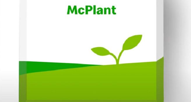 McDonald's testuje roślinnego burgera