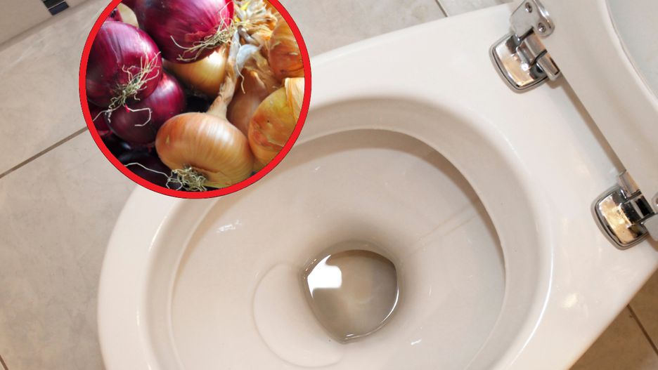 Cebula świetnie pochłania zapachy