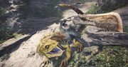 Pamiętacie o weekendowej randce z Monster Hunter: World?