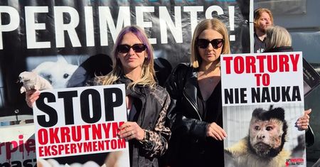 Wstrząsające obrazy na ulicach Warszawy! "Czas na naukę bez torturowania zwierząt" – tłumy domagały się zmiany