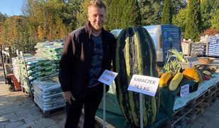 Bytom. Hodowca gigantów nie pragnie sławy, chce edukować