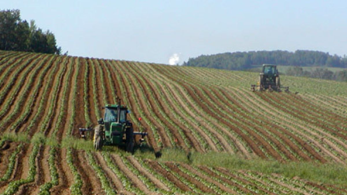 Działki (zdj. podgl.).