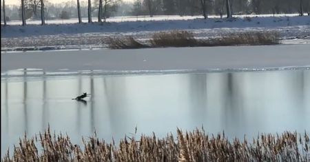 Fiknęła na lodzie. Musieli jej pomóc strażacy