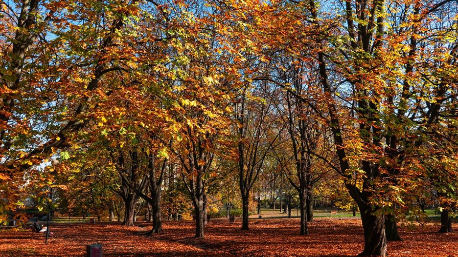 Tegoroczne lato nas nie rozpieszczało. Końcówka zapowiada się jednak całkiem zacna.