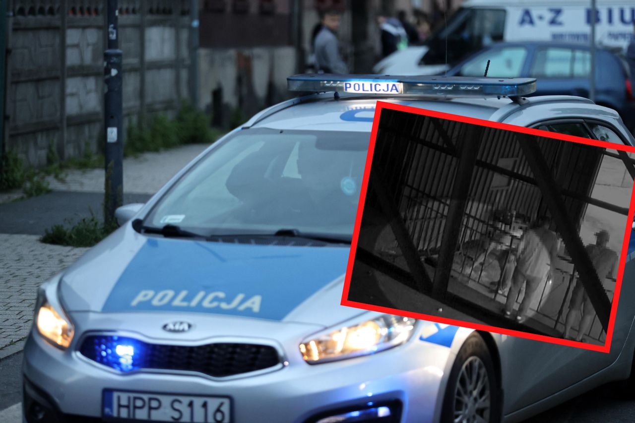 Zabił kota ze szczególnym okrucieństwem. Policja opublikowała nagranie